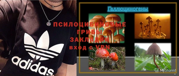 МДПВ Алексеевка