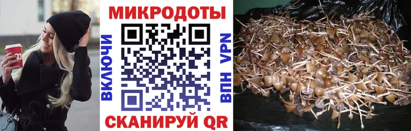 Галлюциногенные грибы прущие грибы  Пучеж 
